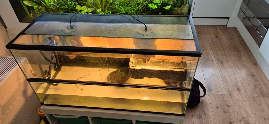 Aquarium voor schildpadden/paludarium 100 cm breed/achterwan, Ophalen, Leeg aquarium
