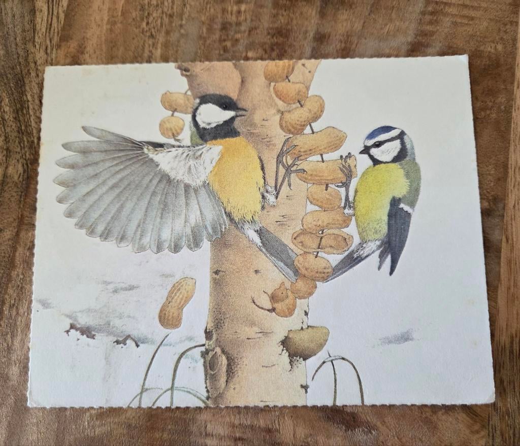 Koolmees en Pimpelmees - Diet van Beek, Verzamelen, Verzenden, 1980 tot heden, Gelopen, Overige thema's