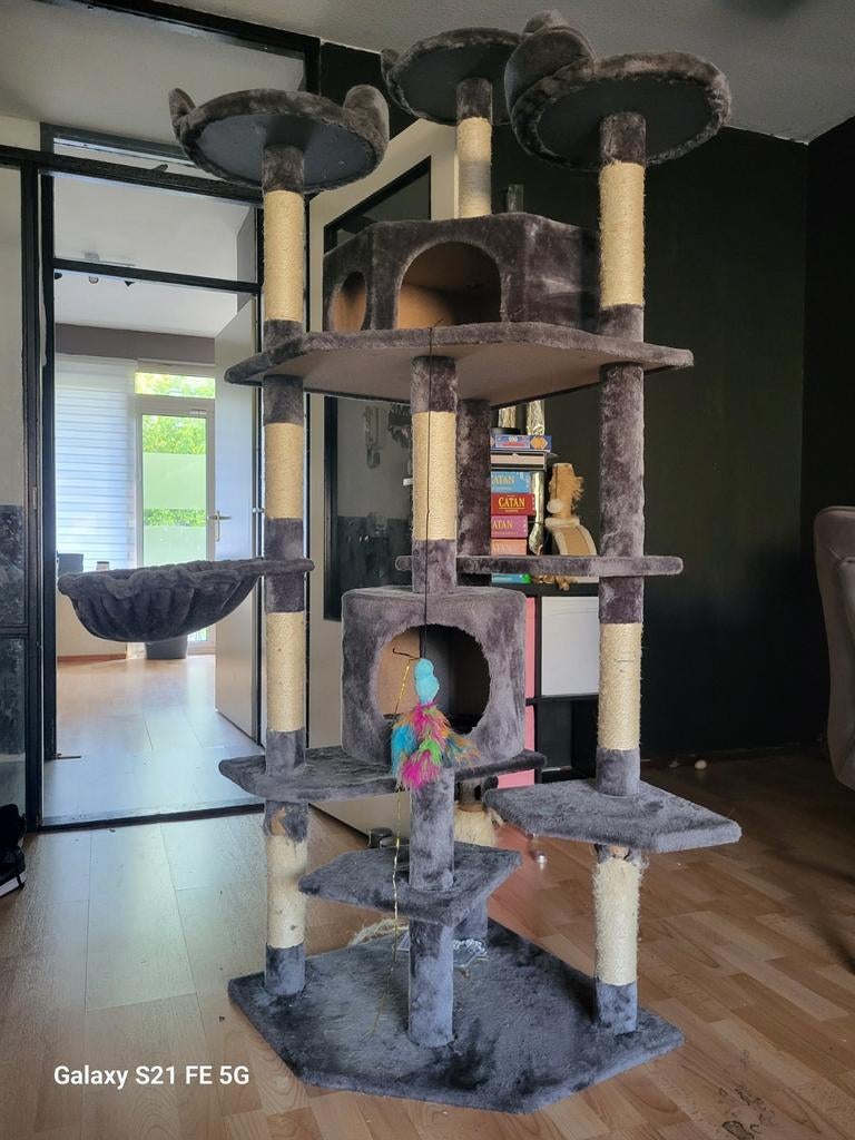 Vanwege vermiste kat, Ophalen of Verzenden, Zo goed als nieuw