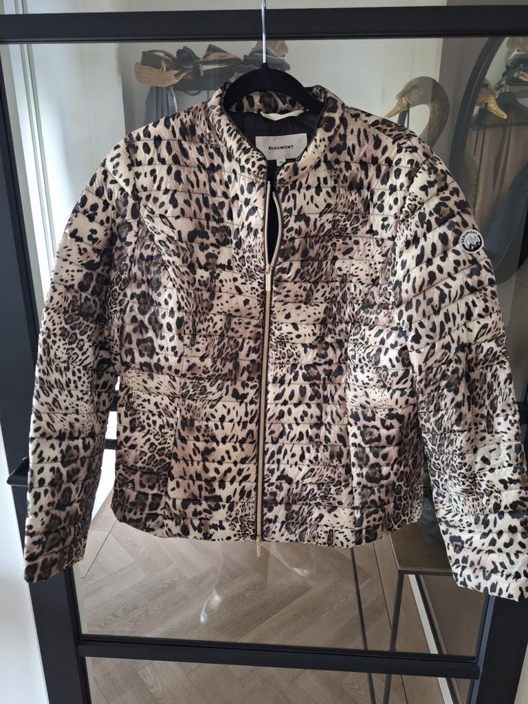 Dun tussenjasje Beaumont, Ophalen of Verzenden, Zo goed als nieuw, Maat 42/44 (L), Zwart