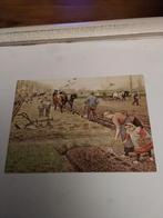 C JETSES. REPRODUCTIE WANDPLATEN. 1975, Verzamelen, Ophalen of Verzenden, 1960 tot 1980, Sterren en Beroemdheden