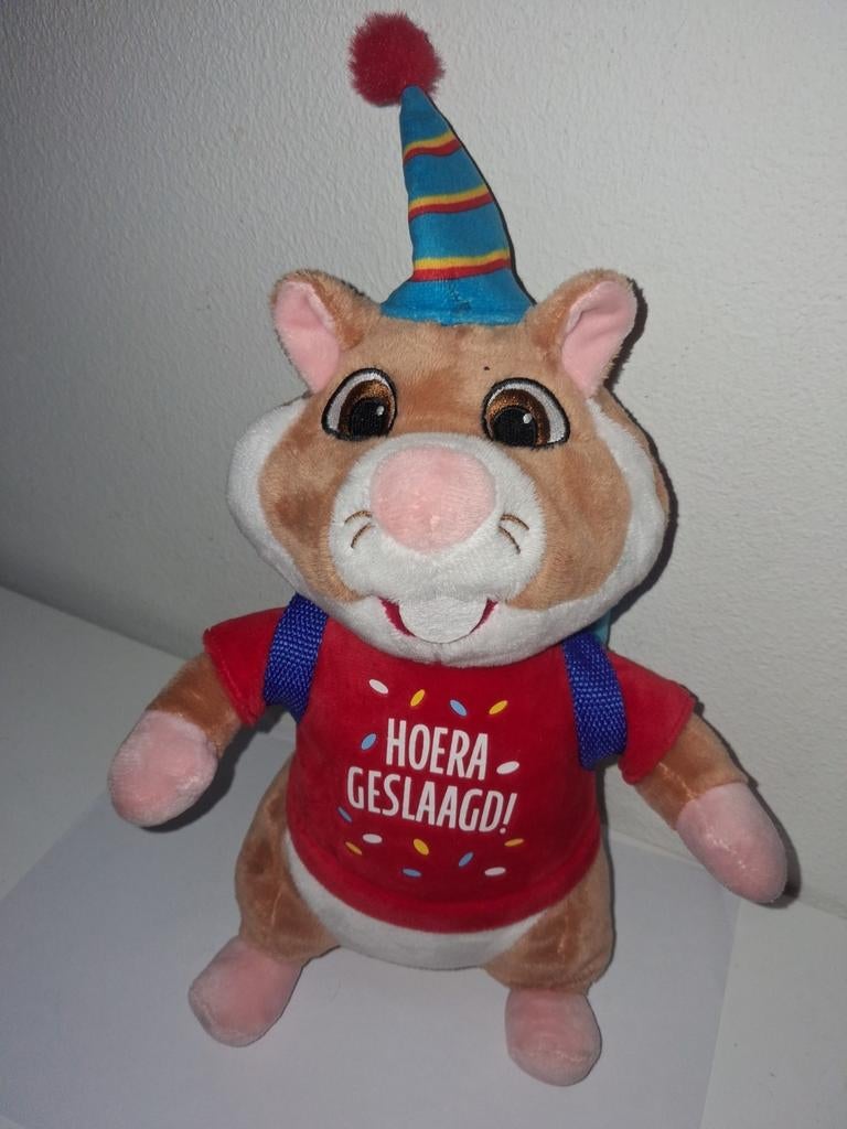 Hamster geslaagd, Kinderen en Baby's, Overige merken, Overige karakters, Overige typen, Nieuw