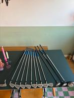 Complete golfset Titleist DCI 981(Cobra Driver al verkocht), Ophalen of Verzenden, Gebruikt, Set, Overige merken