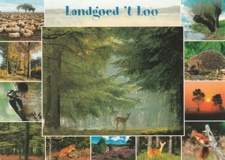 OLDEBROEK Landgoed 't Loo, Verzamelen, Ansichtkaarten | Nederland, Gelopen, Gelderland, 1980 tot heden, Verzenden
