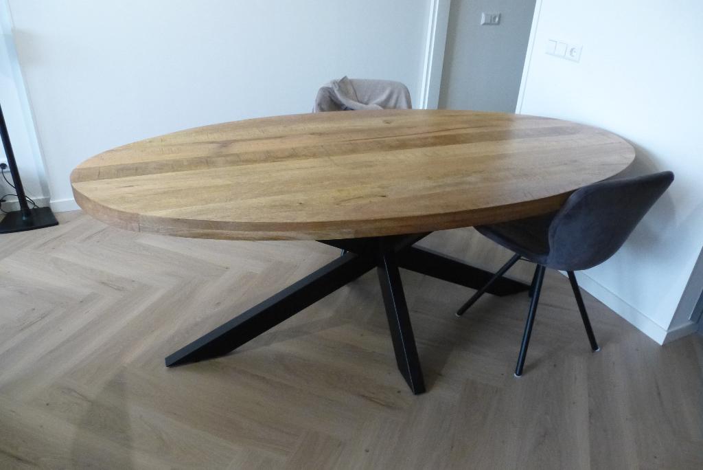 EETTAFEL OVAAL,STOEL VERSTELBAAR, Huis en Inrichting, Tafels | Eettafels, Ophalen, 200 cm of meer, 50 tot 100 cm, Zo goed als nieuw