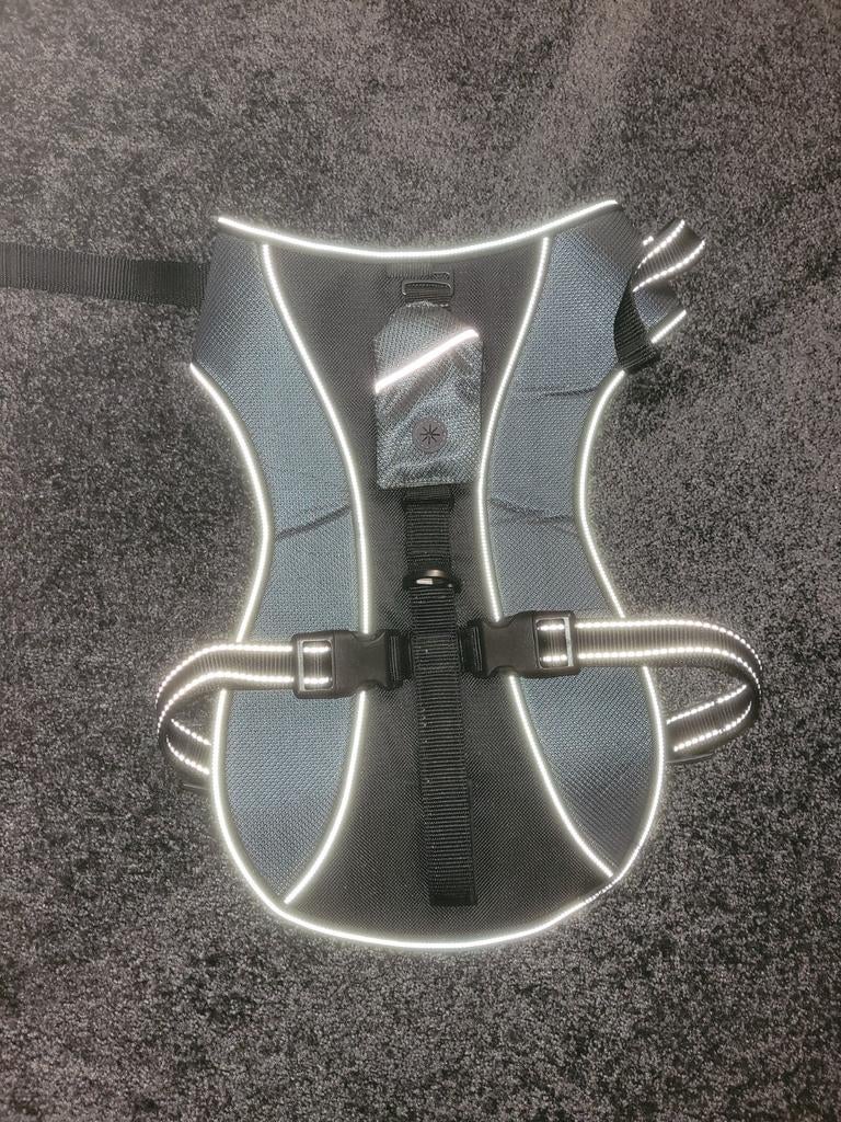 Hondentuigje voor grote hond nieuw, Ophalen of Verzenden, Nieuw