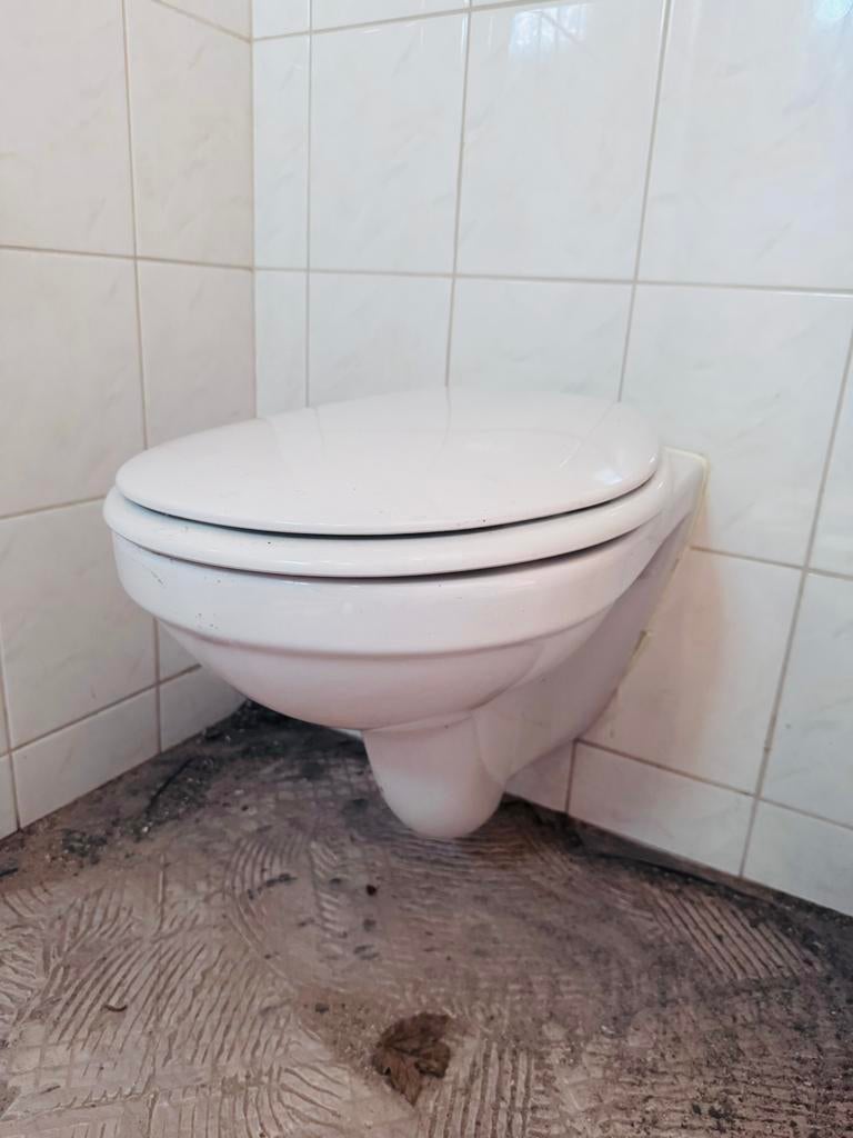 Sphinx toilet pot fonteintje met kraan en toiletgarnituur, Ophalen, Gebruikt, Steen, Toilet