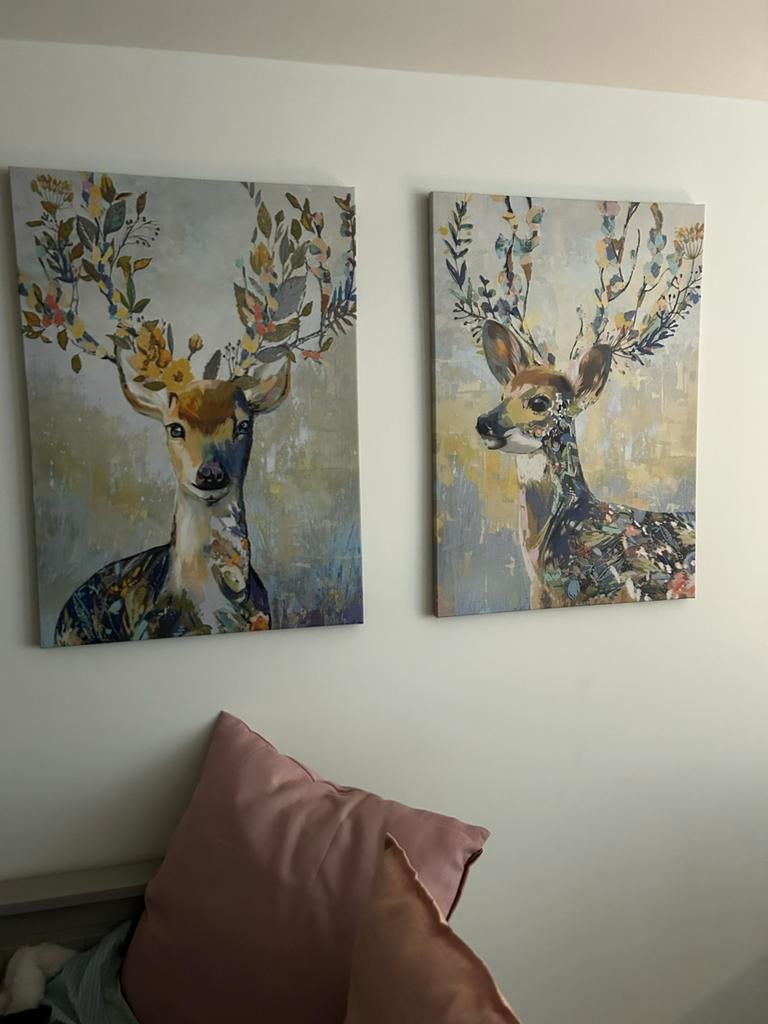 Twee afbeeldingen van hert zonder lijst, Minder dan 50 cm, Gebruikt, 50 tot 75 cm, Ophalen of Verzenden