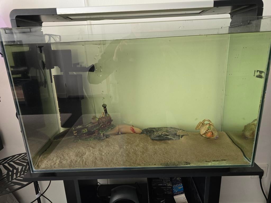 Aquarium en 2 axolotl te koop. Compleet met alle toebehoren., Dieren en Toebehoren, Ophalen, Zo goed als nieuw