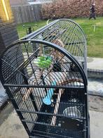 papegaaienkooi, Ophalen, Gebruikt, Weeet ik niet, Weet ik niet