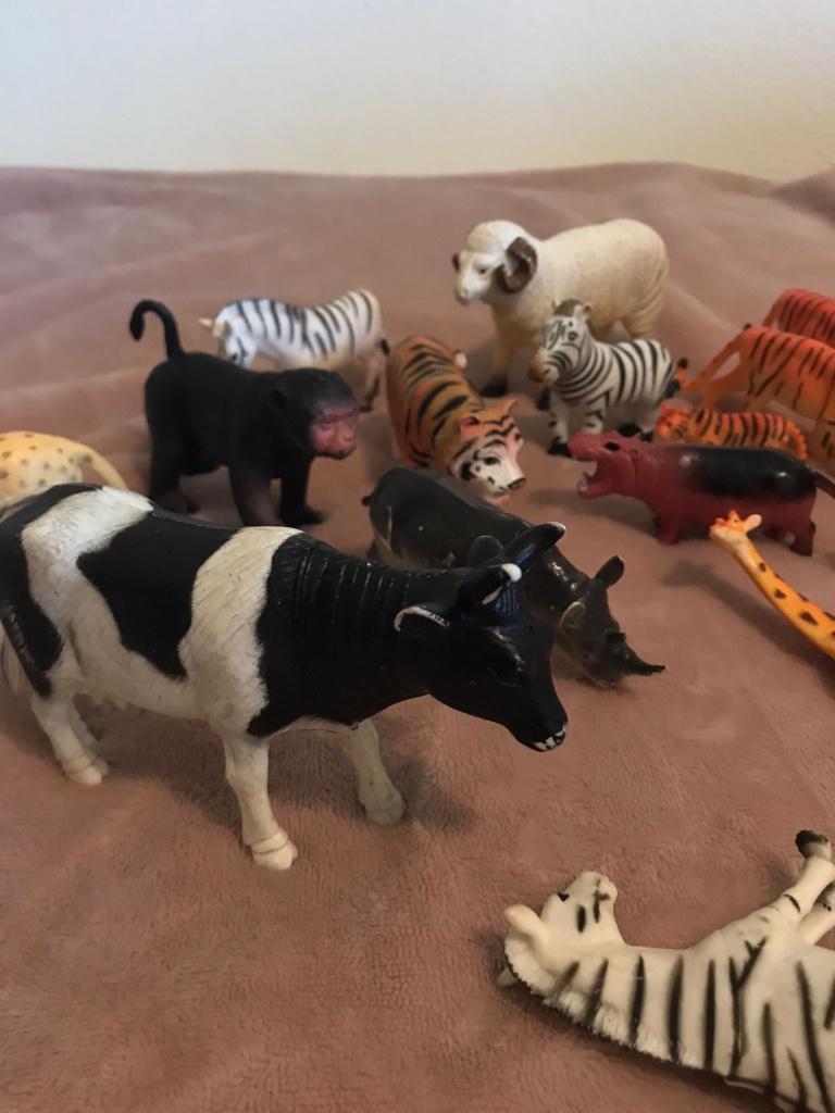 dierentuin dieren zoo animal, Ophalen, Zo goed als nieuw