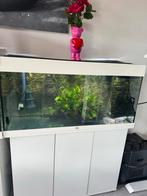 Juwel Rio 180 + Filter & Chiller, Ophalen of Verzenden, Gebruikt, Leeg aquarium