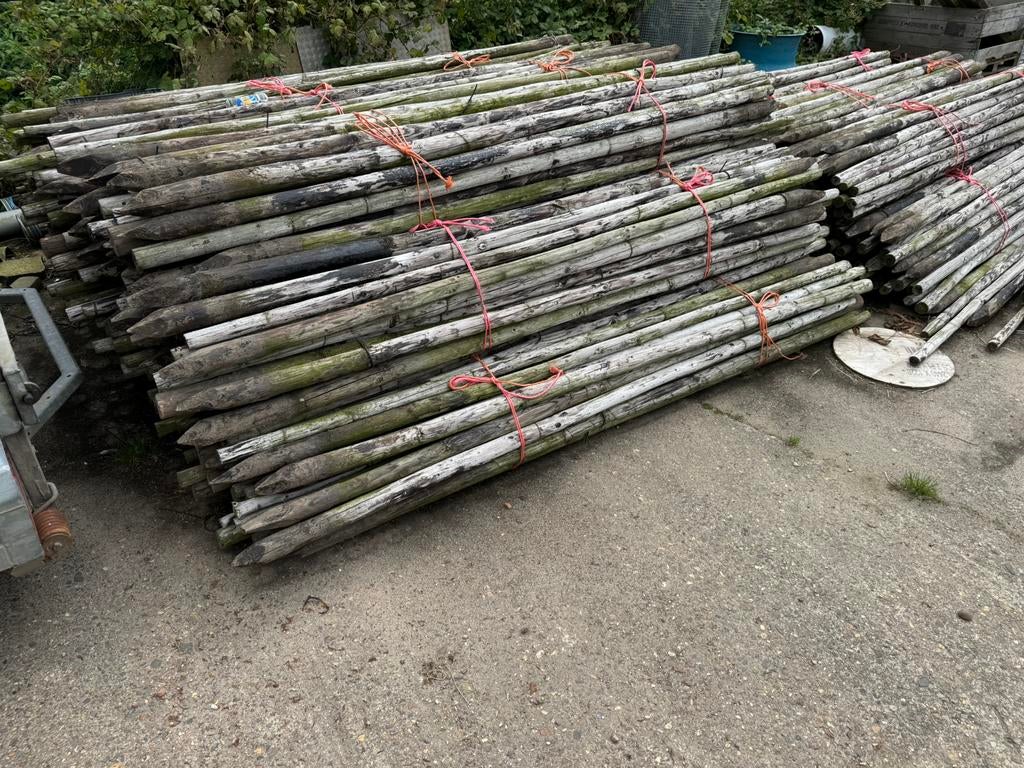 Boompalen, Tuin en Terras, Palen, Balken en Planken, Ophalen, Gebruikt, 250 cm of meer, Palen