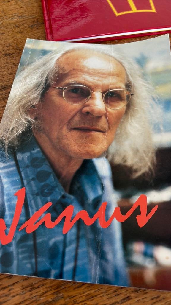 Boek Hilvarenbeek janus kunst, Ophalen of Verzenden, Zo goed als nieuw