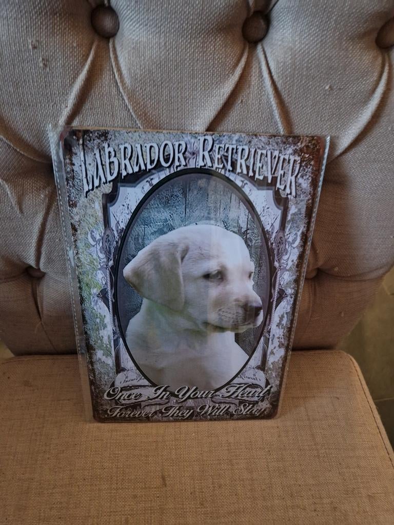 Labrador retriever wandbord, Ophalen of Verzenden, Nieuw