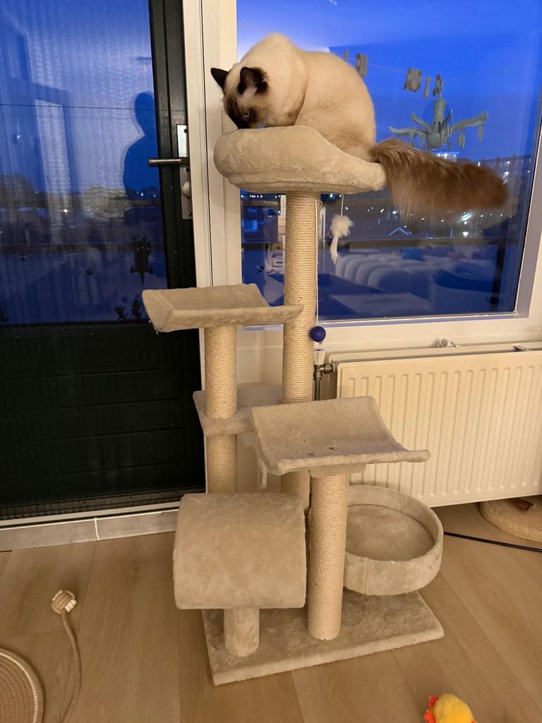 Krabpaal beige grote katten, Ophalen of Verzenden, Zo goed als nieuw, Krabpaal