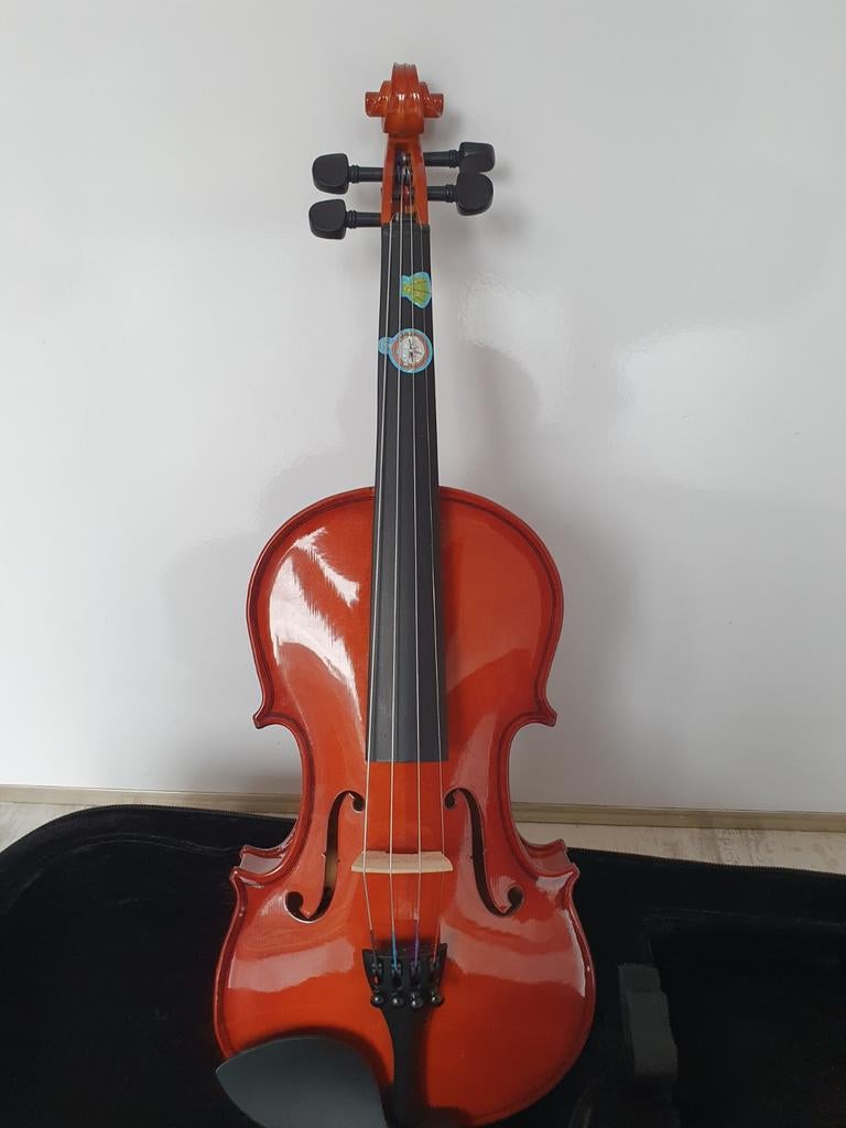 1/2 Studieviool z.g.a.n.(1jr oud) + accessoires, Muziek en Instrumenten, Strijkinstrumenten | Violen en Altviolen, Ophalen of Verzenden