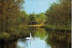 Ansichtkaart	Hapert	Het Vennenbos	Vijver met zwaan, Verzenden, 1980 tot heden, Gelopen, Noord-Brabant