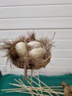 instekers vogelnest met eieren 12x, Ophalen of Verzenden, 'T Olde Gre-j, Info@toldegrej.nl, Endepoelstraat 20f Didam