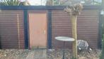 Ruime houten schuur/keet - 6x3x2.60m, Ophalen, Gebruikt, Hout, Overige typen