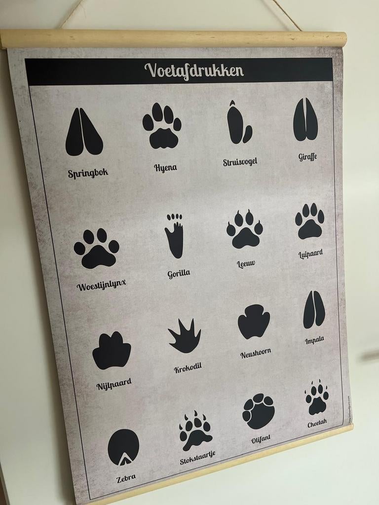 Decoratie jungle kamer, Ophalen of Verzenden, Zo goed als nieuw, Wanddecoratie