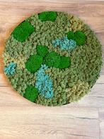 Mosschilderij met bolmos 60 cm, Ophalen, Nieuw