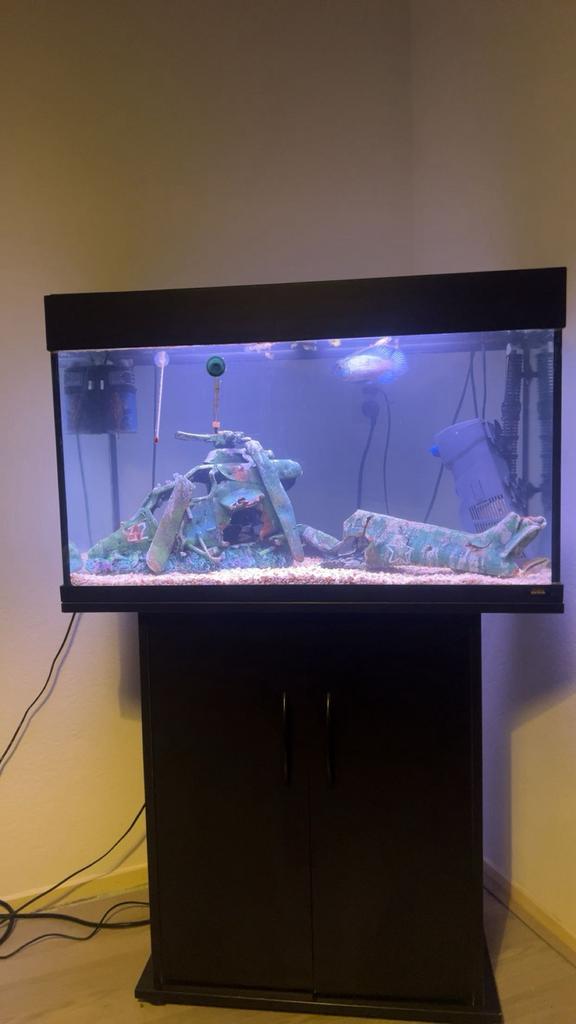 Juwel aquarium, Ophalen, Zo goed als nieuw, Leeg aquarium, Juwel