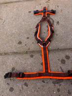 Anny X maat xxs, Ophalen of Verzenden, Gebruikt