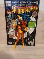 Spiderman/woman, Ophalen of Verzenden