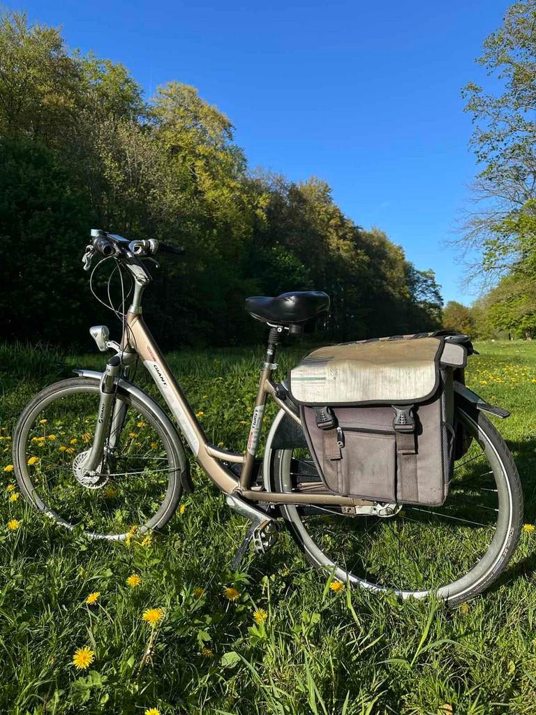 Elektrische fiets Giant double power, Ophalen, Giant, Zo goed als nieuw, 51 tot 55 cm