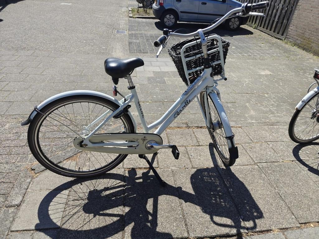 Gazelle Damesfiets met Mand, Ophalen, Terugtraprem, (Extra) lage instap, 47 tot 50 cm