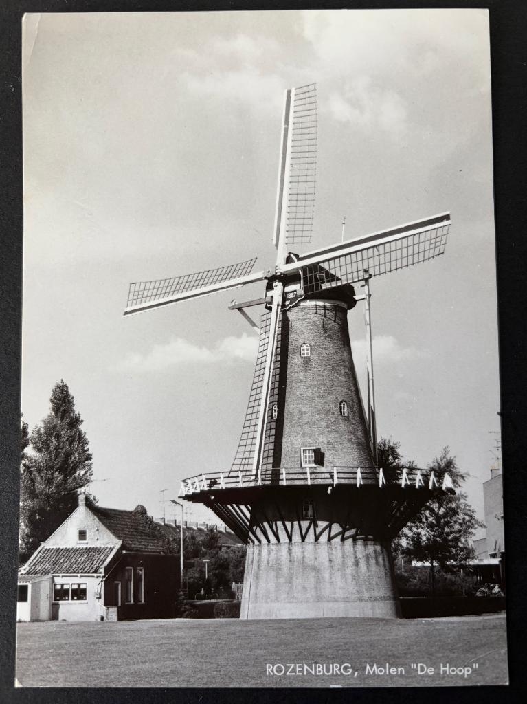 Ansichtkaart Rozenburg molen de Hoop echte foto, Verzamelen, Ophalen of Verzenden, 1960 tot 1980, Ongelopen, Zuid-Holland