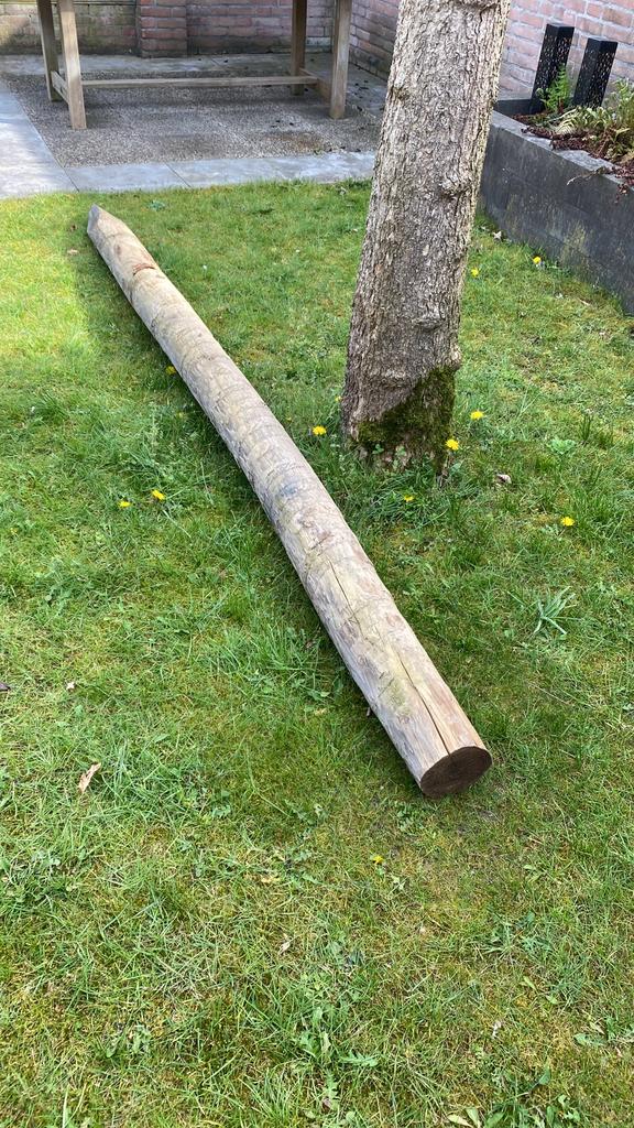 Paal kastanjehout (14/16) 3 meter nieuw!, Tuin en Terras, Palen, Balken en Planken, Ophalen, Zo goed als nieuw, 250 cm of meer