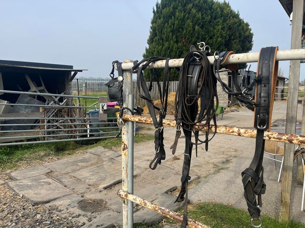 Mentuig cob incl. Gareel, Dieren en Toebehoren, Paarden en Pony's | Hoofdstellen en Tuigage, Ophalen of Verzenden, Gebruikt, Overige soorten