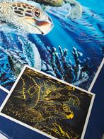 Puzzel Ruilen Lidl volle kaart, Ophalen