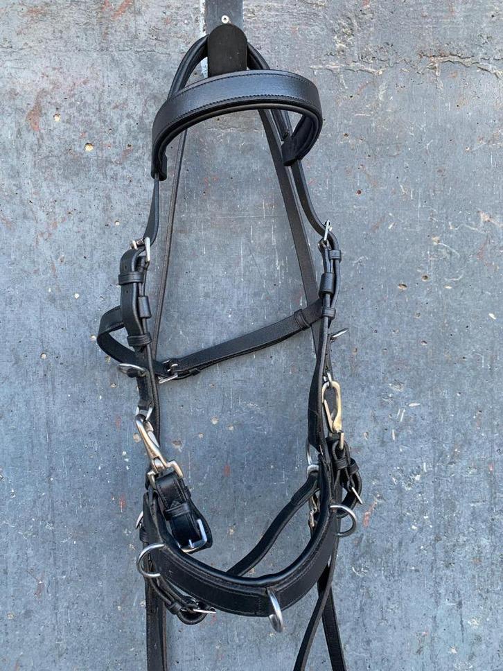Harry's Horse Kaptoom hoofdstel Leder Zwart Cob, Dieren en Toebehoren, Paarden en Pony's | Hoofdstellen en Tuigage, Gebruikt, Recreatie