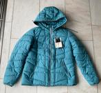 Cecil nieuwe gewatteerde blauwe jas, mt XS, maar valt als S, Kleding | Dames, Jassen | Winter, Blauw, Nieuw, Ophalen of Verzenden
