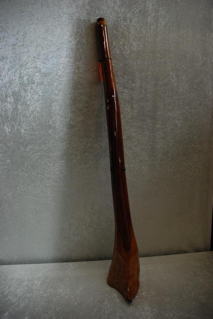 Didgeridoo Eucalyptus Handje hoge klank 440Hz E-F <25252121>, Muziek en Instrumenten, Instrumenten | Onderdelen, Gebruikt, Drums of Percussie