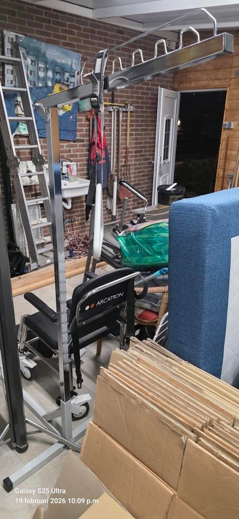 Te koop opsta papagaai, Diversen, Ophalen