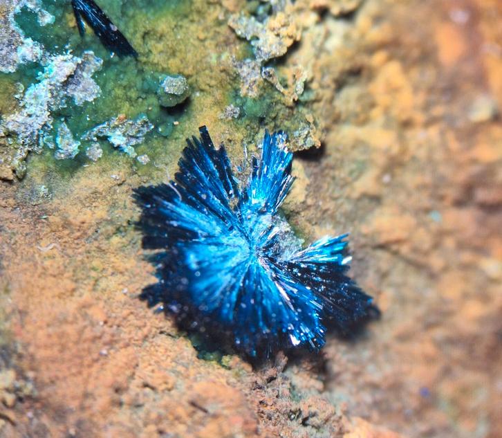 Clinoclaas - Majuba Hill, Nevada, USA, Verzamelen, Mineralen en Fossielen, Mineraal, Ophalen of Verzenden