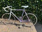 Panasonic DX 2000, Fietsen en Brommers, 28 inch, Gebruikt, 57 tot 61 cm, Ophalen