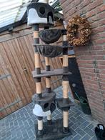 Krabpaal katten, opknapper. 2.40 m hoog., Ophalen