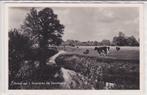 Denekamp  Dinkel bij Singraven, Verzamelen, Ansichtkaarten | Nederland, Verzenden, 1940 tot 1960, Gelopen, Overijssel