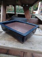 Grote Bonsai schaal / Donkerblauw geglazuurd, Steen, Minder dan 30 cm, Rond, Ophalen of Verzenden