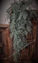 NIEUW Kunst asparagustak, Huis en Inrichting, Woonaccessoires | Kunstplanten en Kunstbloemen, Ophalen of Verzenden, Nieuw, Binnen