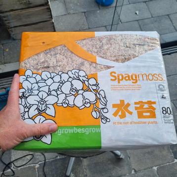 sphagnum veenmos Spagmoss beschikbaar voor biedingen