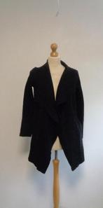 vest Pauw, Kleding | Dames, Maat 38/40 (M), Zwart, Pauw, Ophalen of Verzenden
