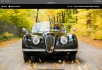 Gezocht Jaguar XK120 XK140 XK150 met eventueel werk (XK 120), Auto diversen, Auto Inkoop