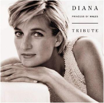 2 Cd Diana Tribute beschikbaar voor biedingen