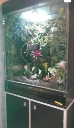 Groot paludarium of terrarium, Ophalen, Gebruikt, Terrarium of Paludarium